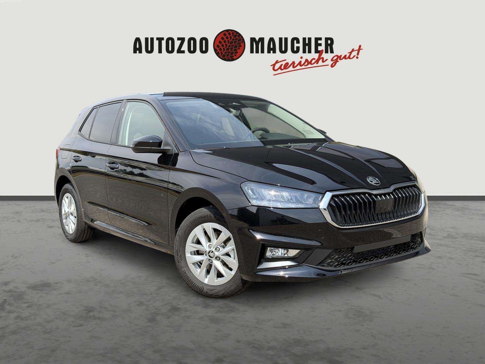 Fahrzeugbild eines Skoda Fabia