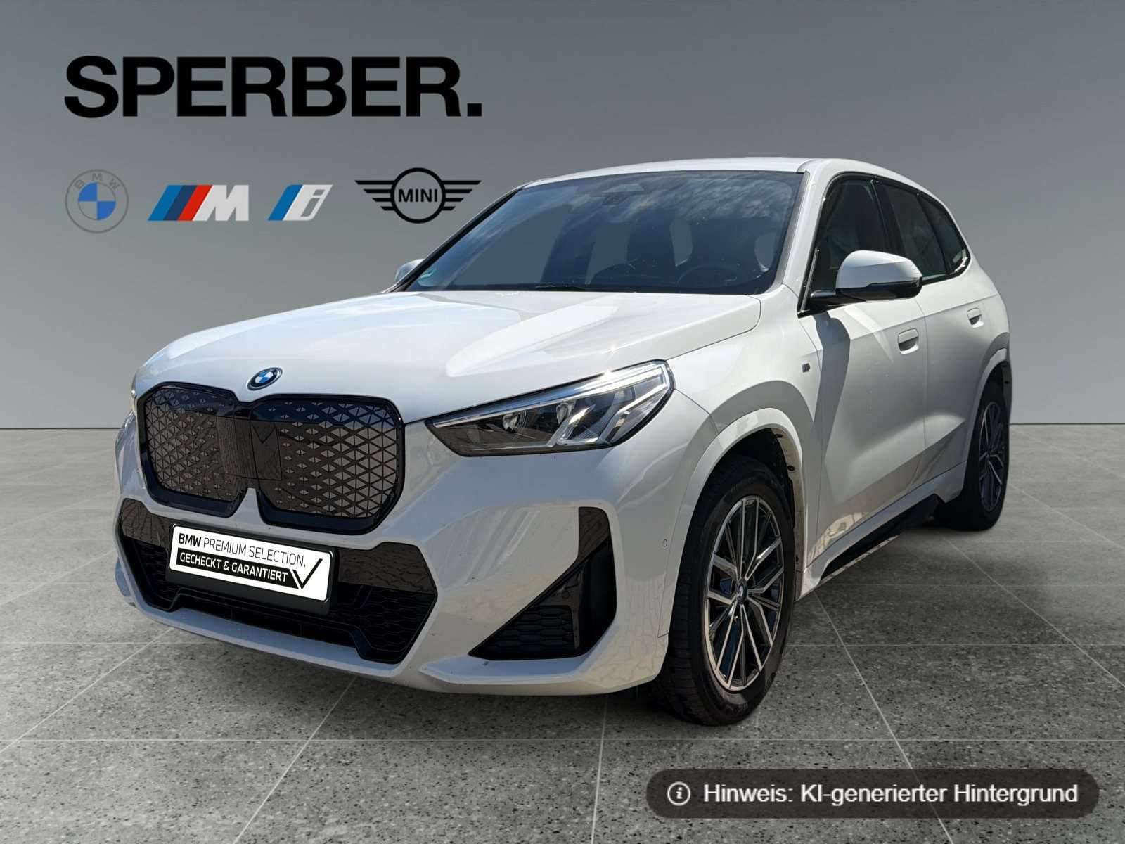Fahrzeugbild eines BMW iX1