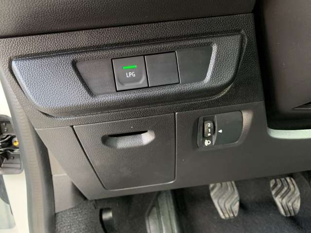 Fahrzeugbild eines Dacia Sandero