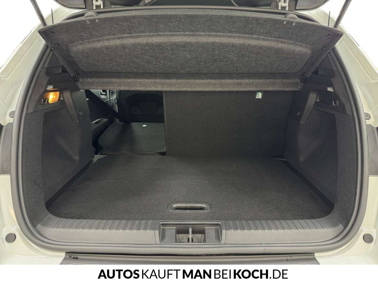 Fahrzeugbild eines Renault Captur