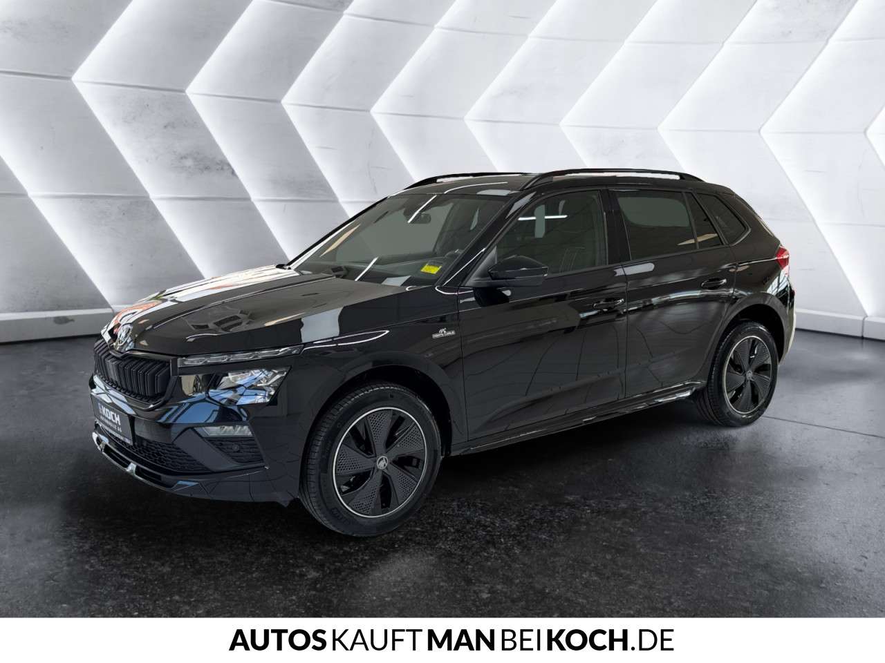 Fahrzeugbild eines Skoda Kamiq