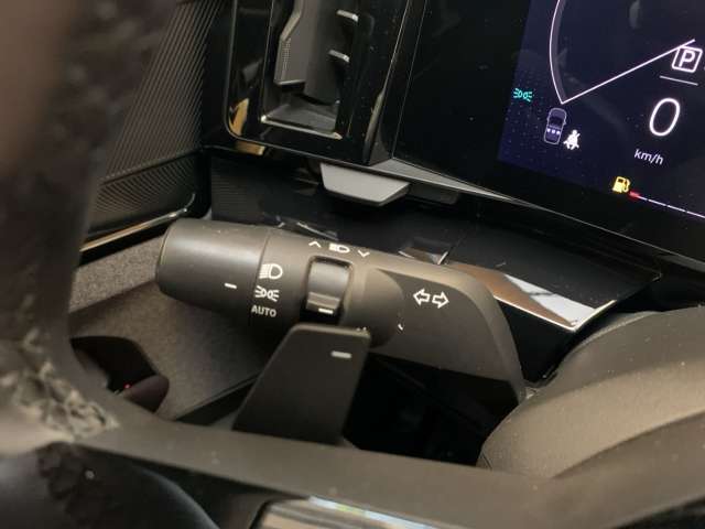 Fahrzeugbild eines Renault Austral