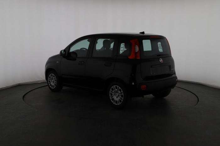 Fahrzeugbild eines Fiat Panda