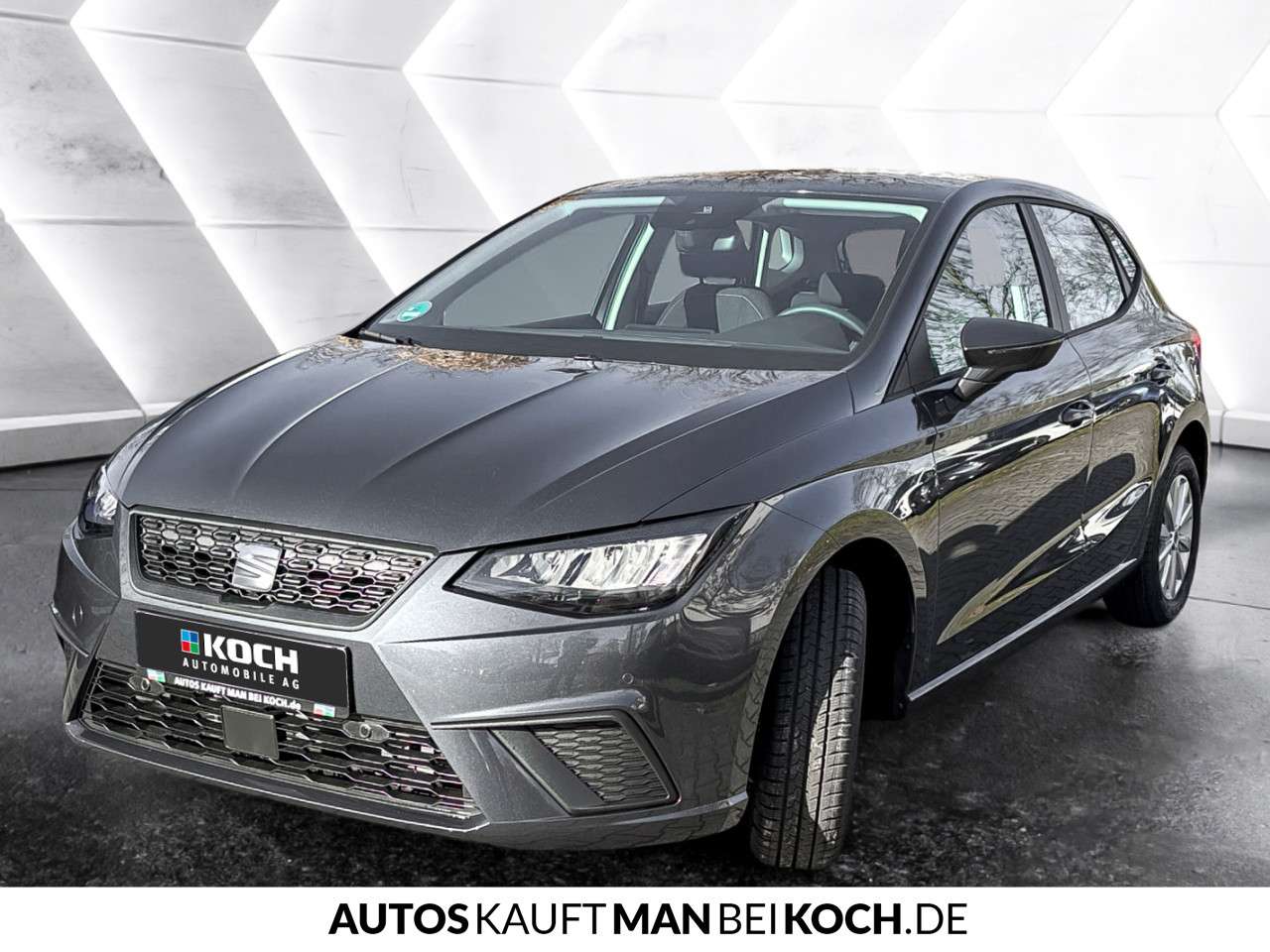 Fahrzeugbild eines SEAT Ibiza