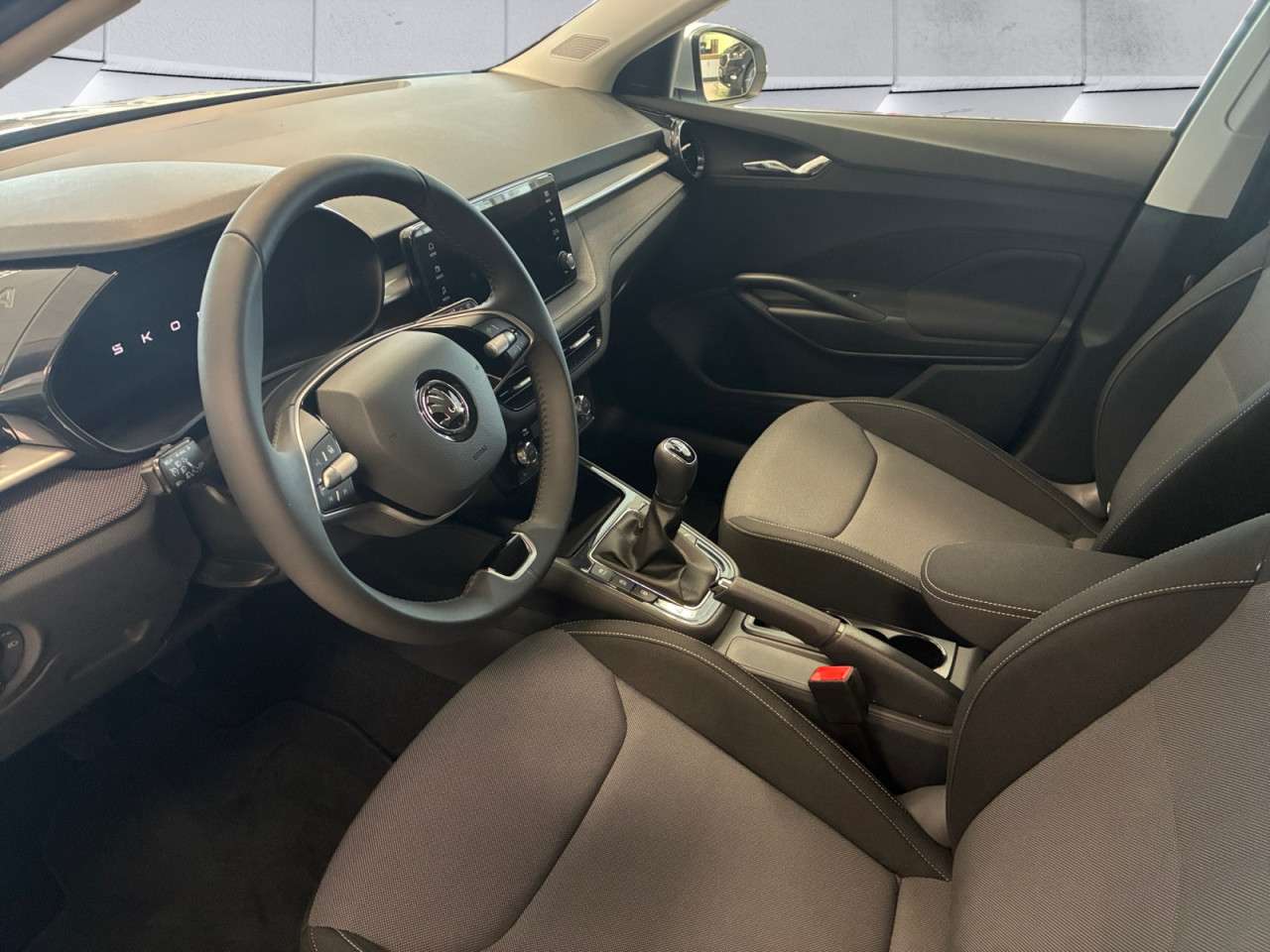 Fahrzeugbild eines Skoda Fabia