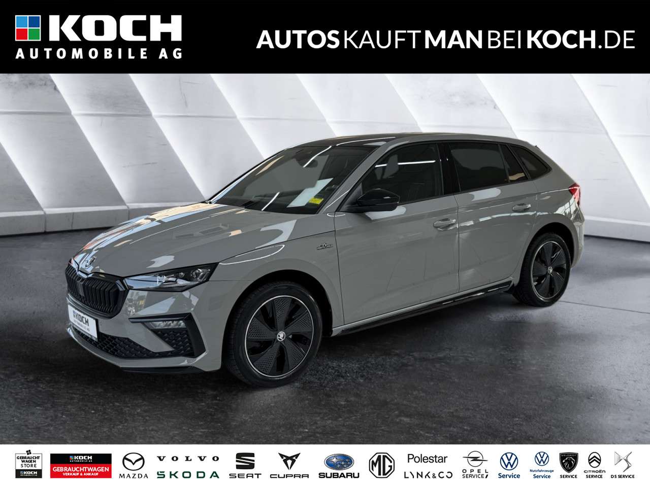 Fahrzeugbild eines Skoda Scala