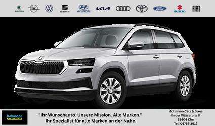 Fahrzeugbild eines Skoda Karoq