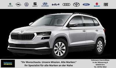 Bild Skoda Karoq