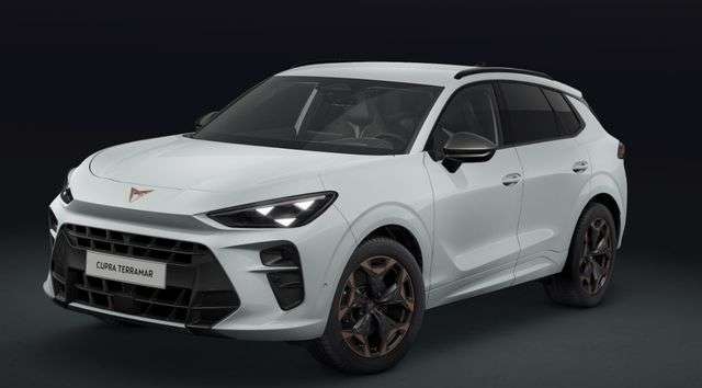 Fahrzeugbild eines CUPRA Terramar