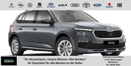 Fahrzeugbild eines Skoda Kamiq