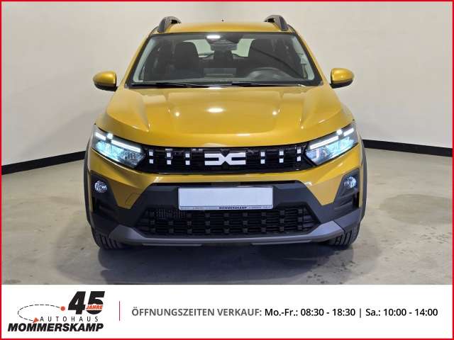 Fahrzeugbild eines Dacia Sandero