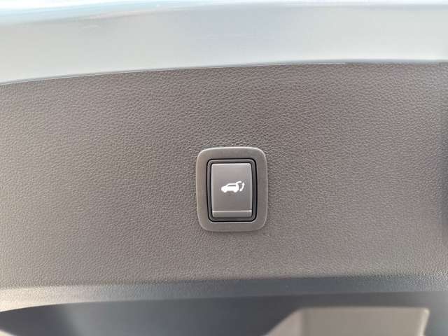Fahrzeugbild eines Renault 4 E-TECH