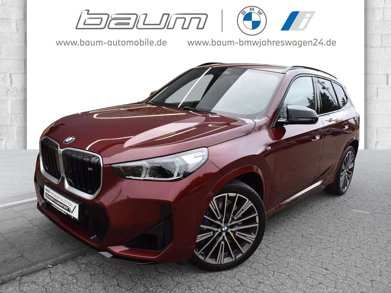 Fahrzeugbild eines BMW X1
