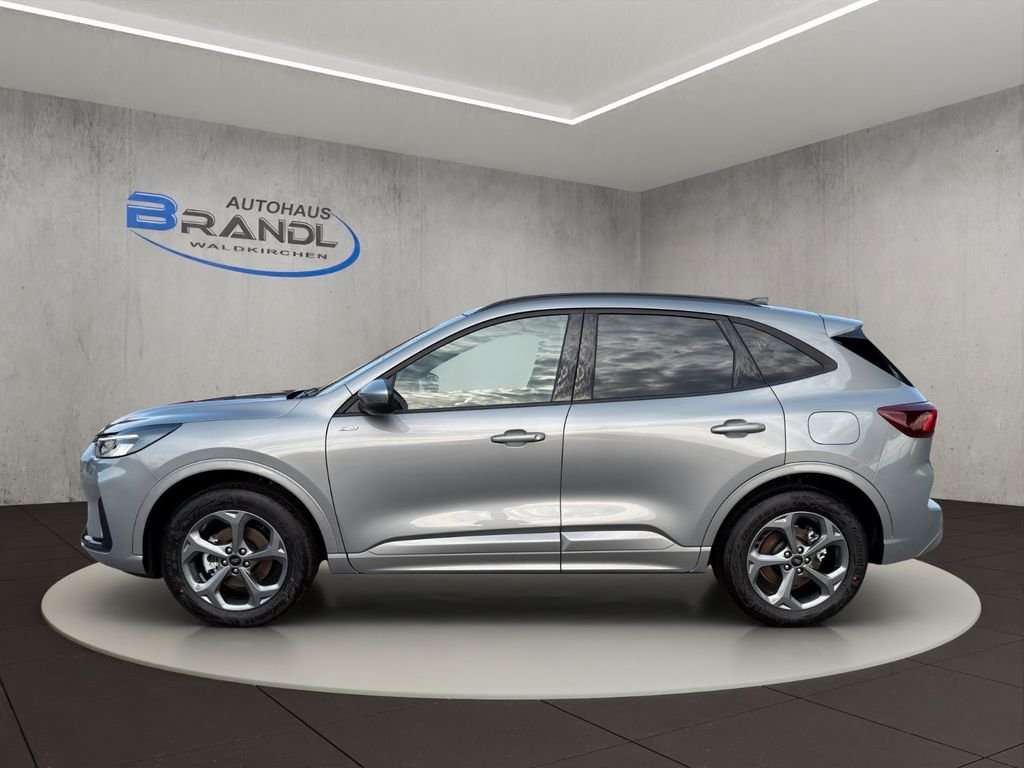 Fahrzeugbild eines Ford Kuga