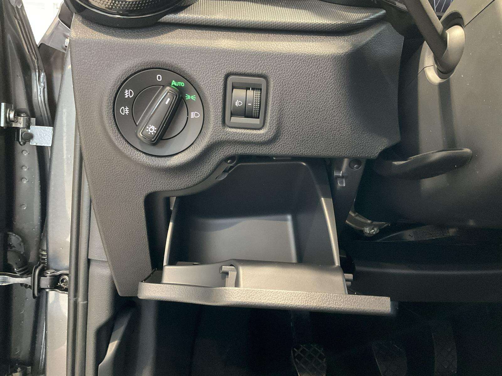 Fahrzeugbild eines Skoda Fabia