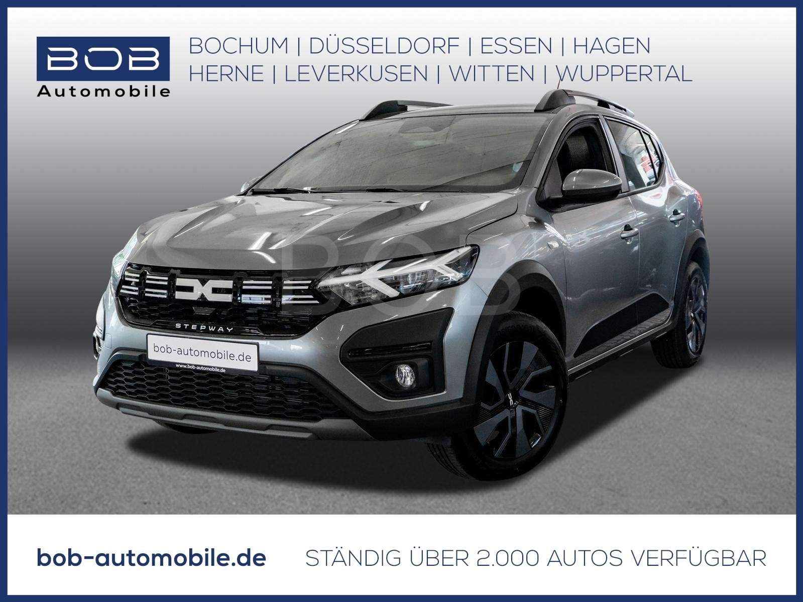 Fahrzeugbild eines Dacia Sandero