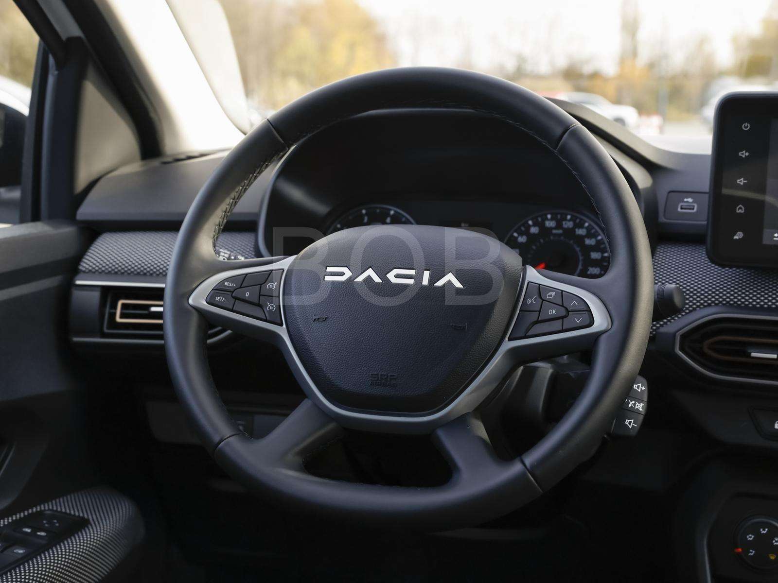 Fahrzeugbild eines Dacia Sandero