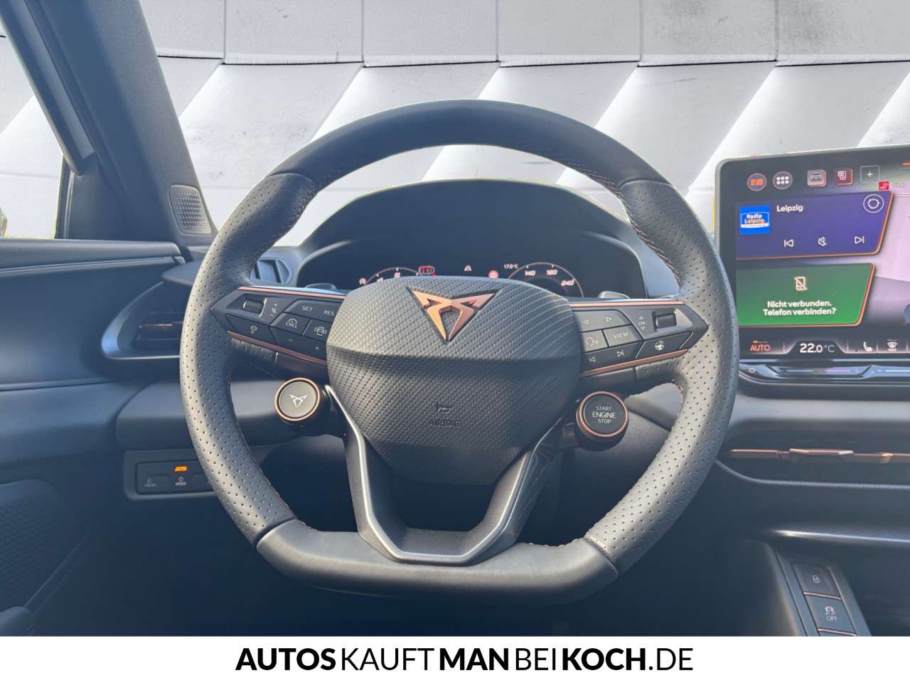 Fahrzeugbild eines CUPRA Terramar