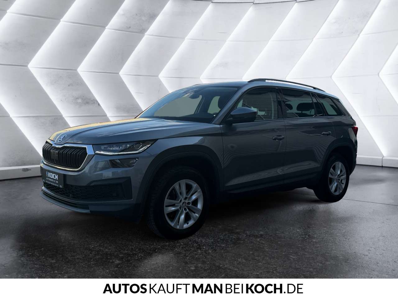 Fahrzeugbild eines Skoda Kodiaq