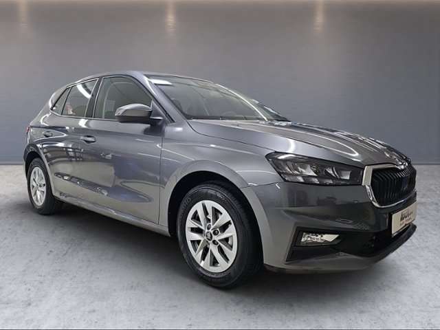Fahrzeugbild eines Skoda Fabia