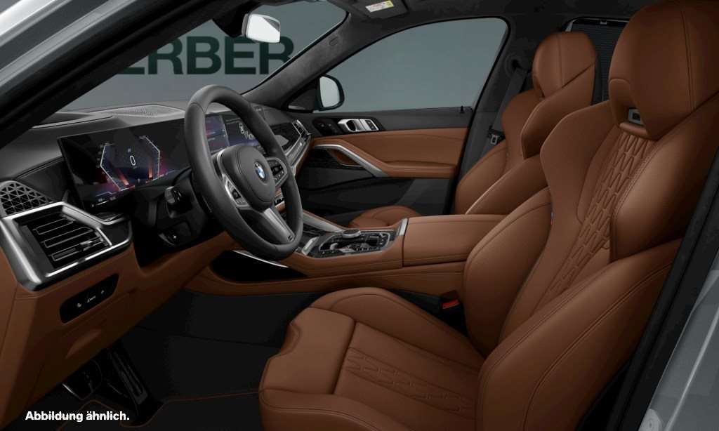 Fahrzeugbild eines BMW X6