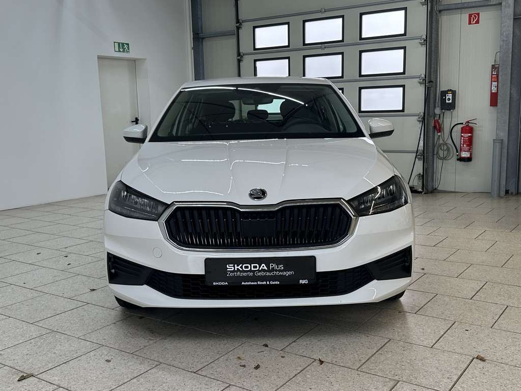 Fahrzeugbild eines Skoda Fabia