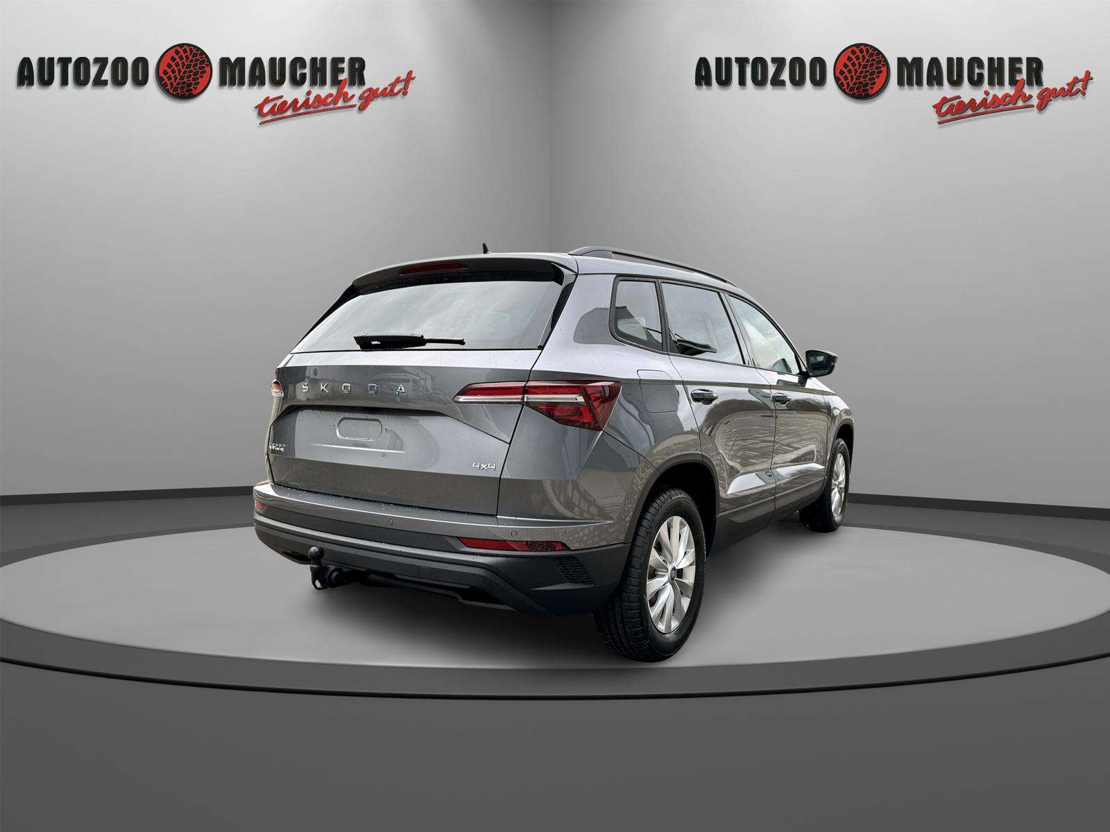 Fahrzeugbild eines Skoda Karoq