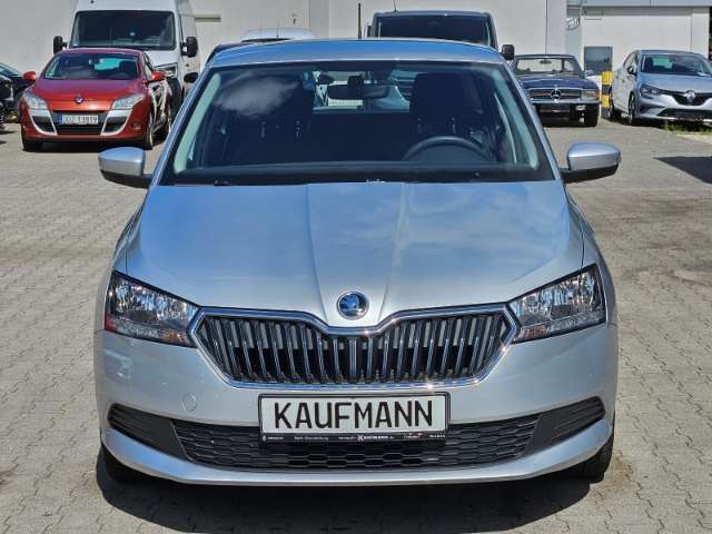 Fahrzeugbild eines Skoda Fabia