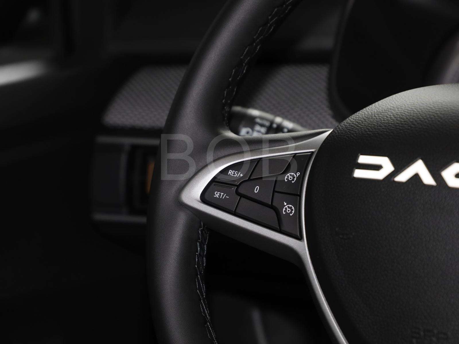 Fahrzeugbild eines Dacia Sandero