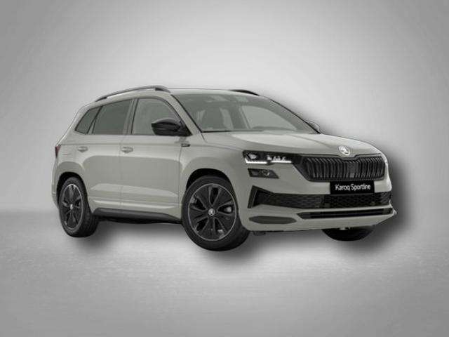 Fahrzeugbild eines Skoda Karoq