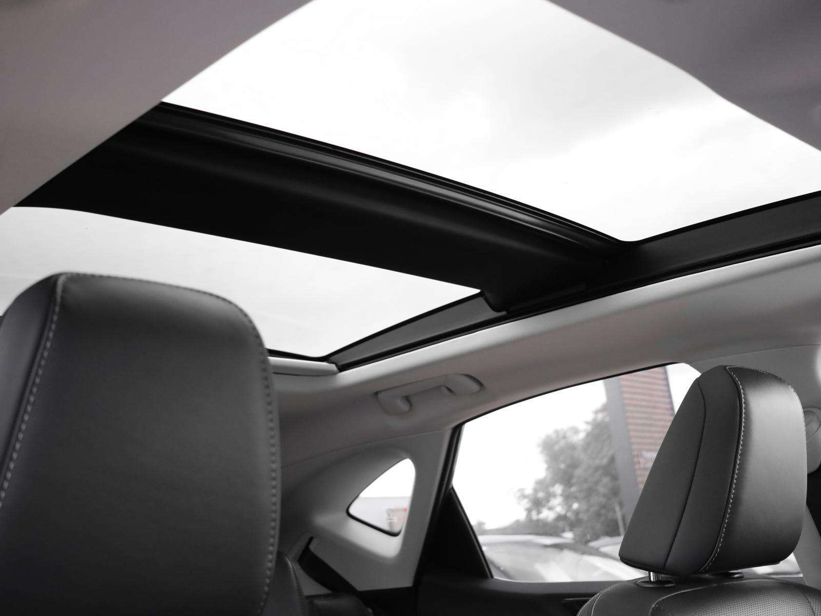 Fahrzeugbild eines Lexus NX