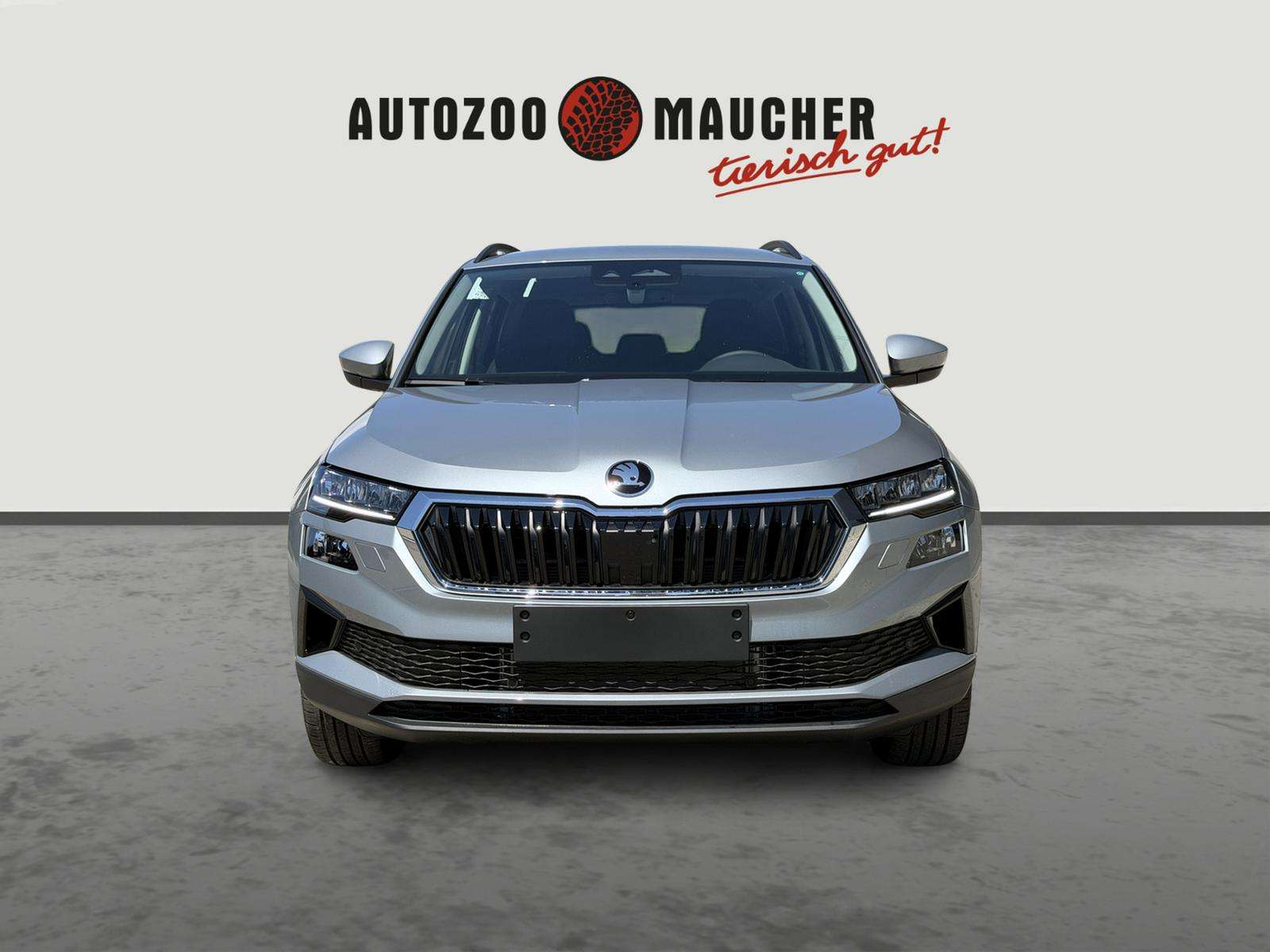 Fahrzeugbild eines Skoda Karoq