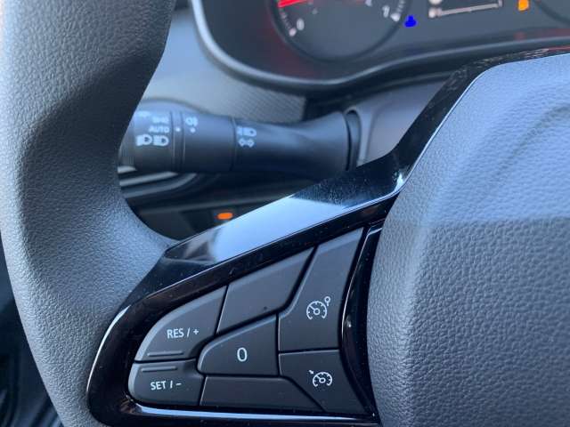 Fahrzeugbild eines Dacia Sandero