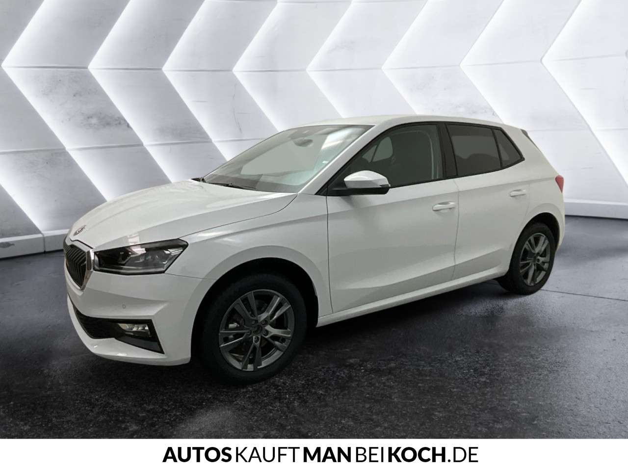 Fahrzeugbild eines Skoda Fabia