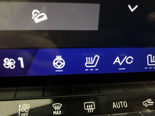 Fahrzeugbild eines Renault Austral