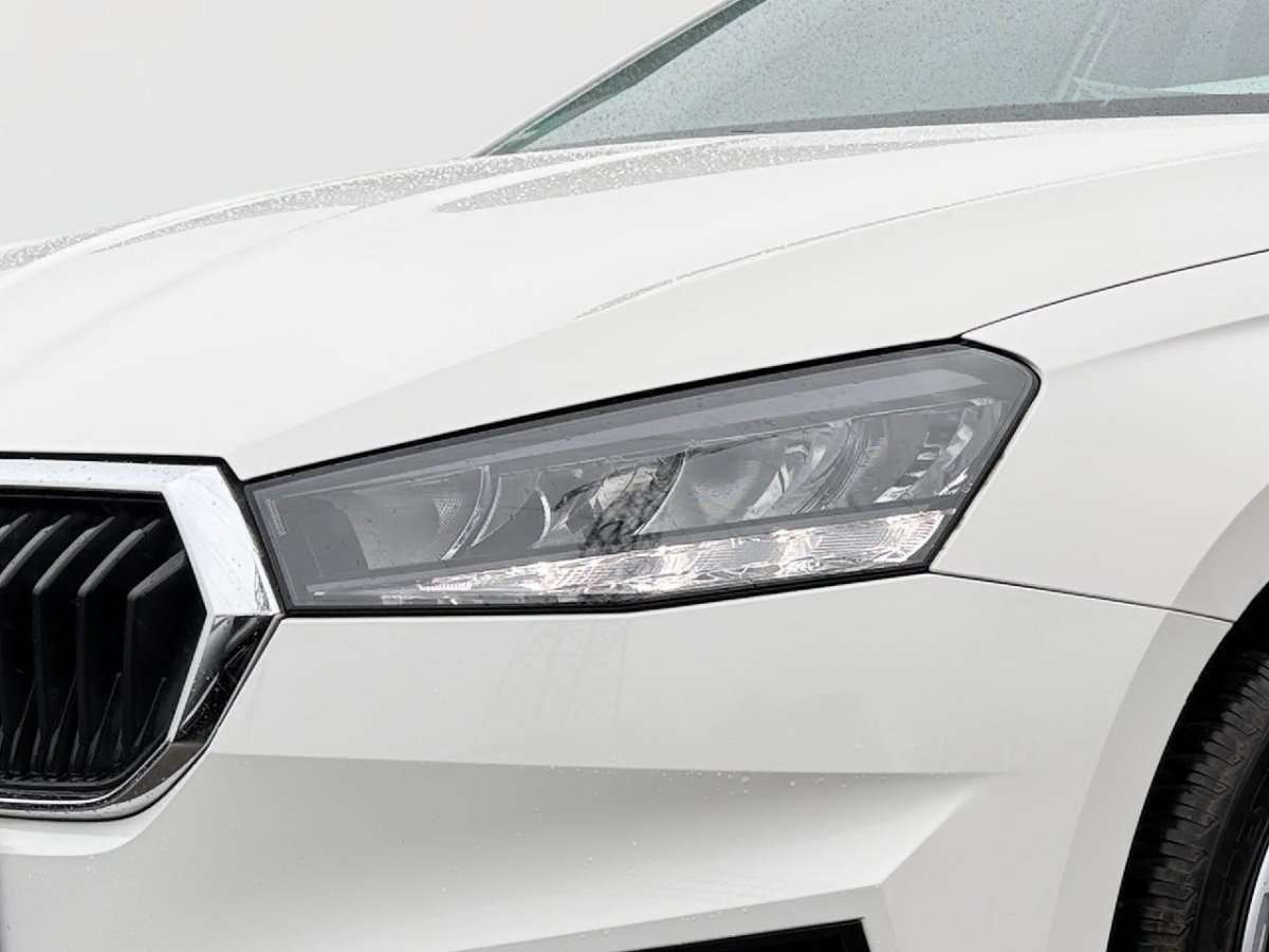 Fahrzeugbild eines Skoda Fabia