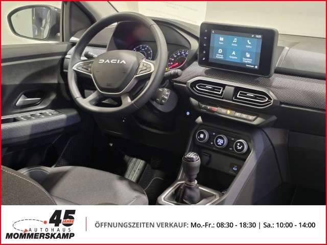 Fahrzeugbild eines Dacia Sandero