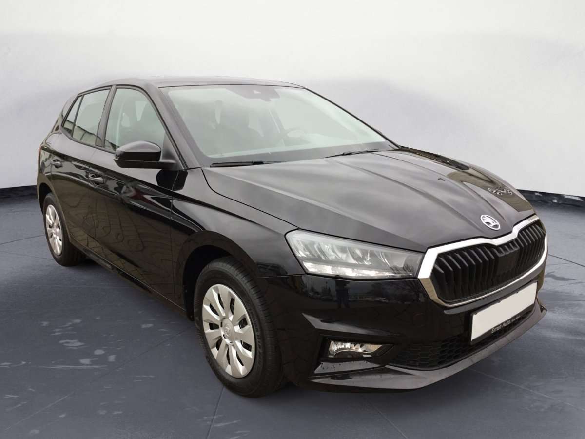 Fahrzeugbild eines Skoda Fabia