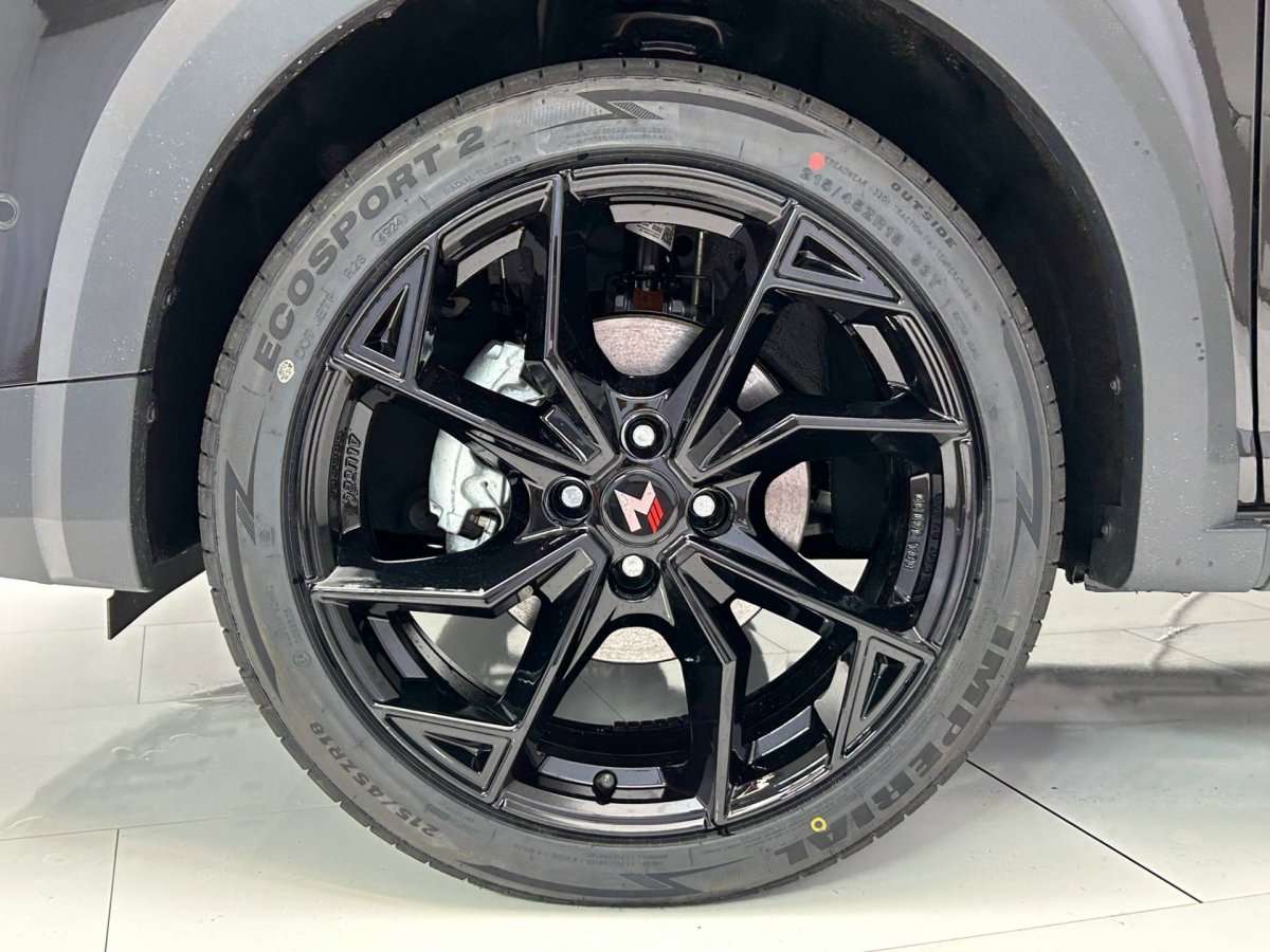 Fahrzeugbild eines Dacia Sandero