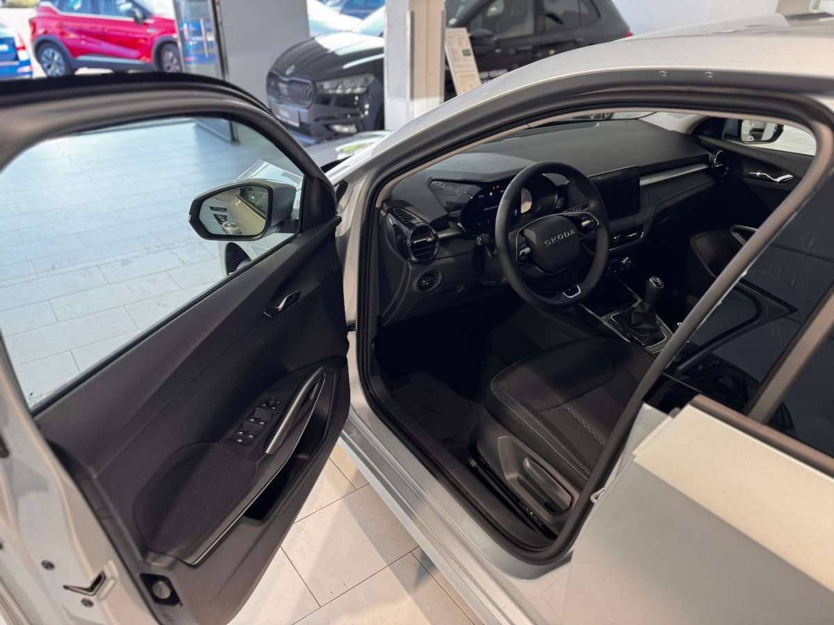 Fahrzeugbild eines Skoda Fabia