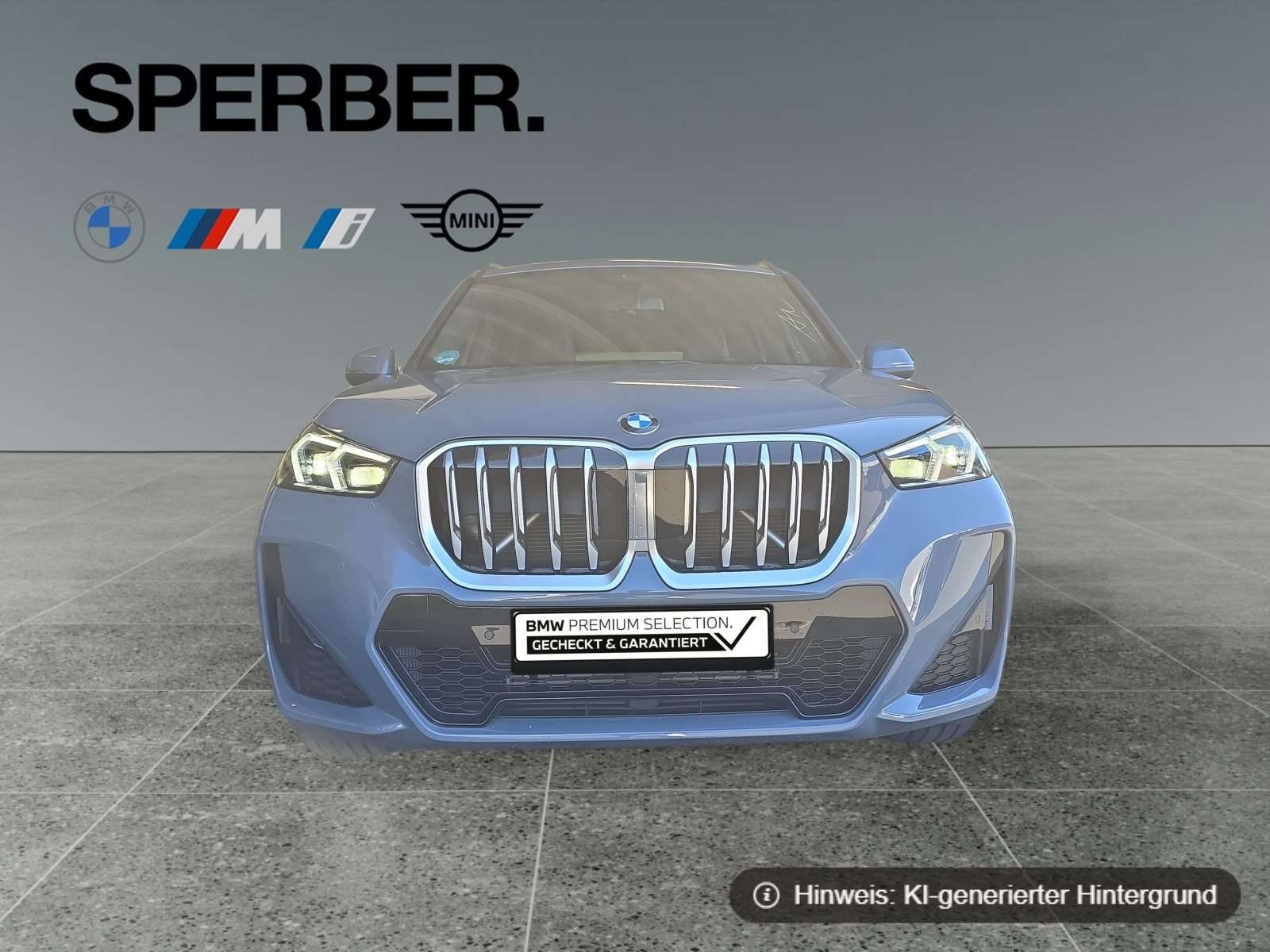 Fahrzeugbild eines BMW X1