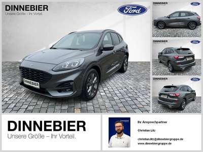 Bild Ford Kuga