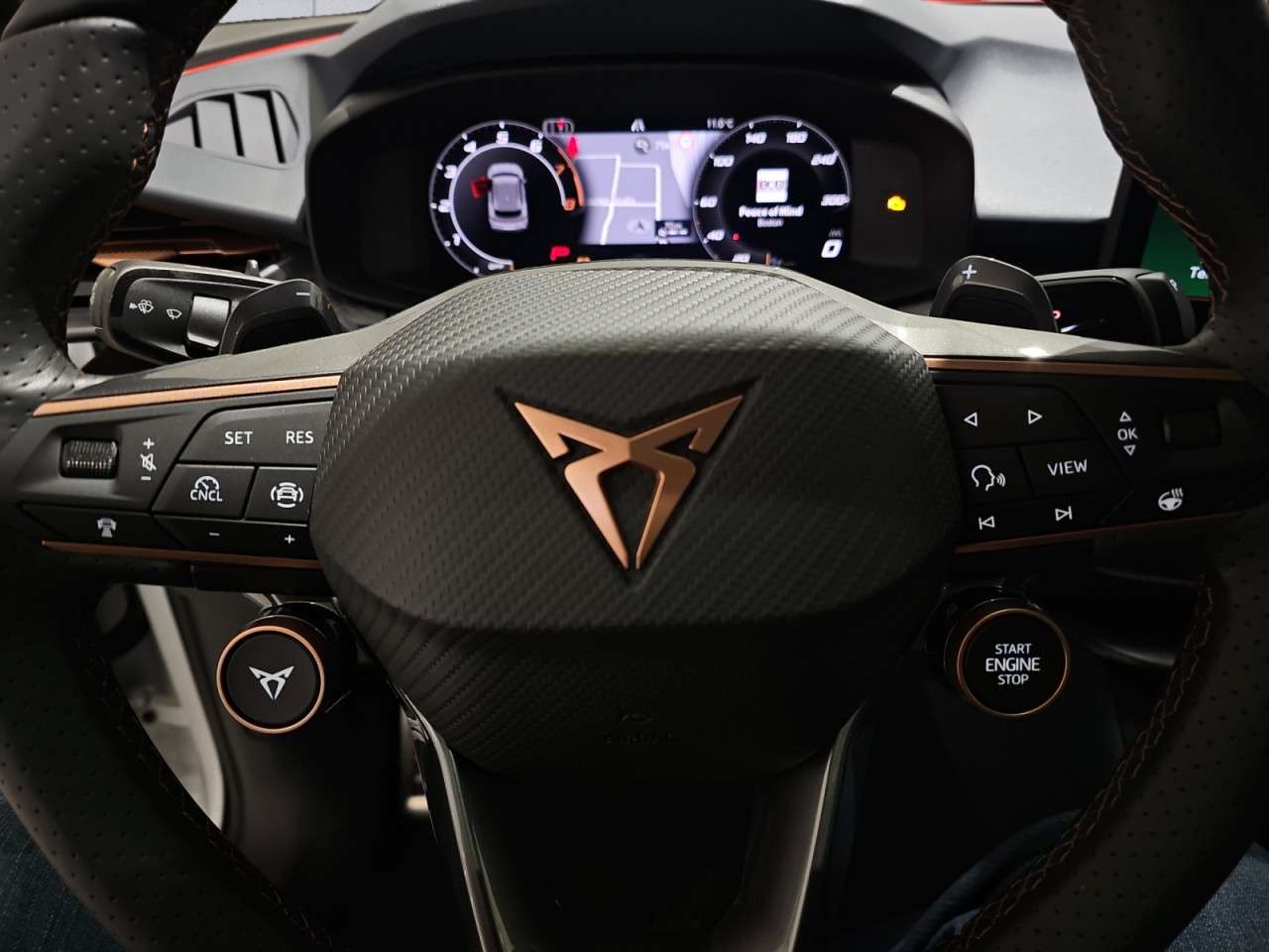 Fahrzeugbild eines CUPRA Terramar