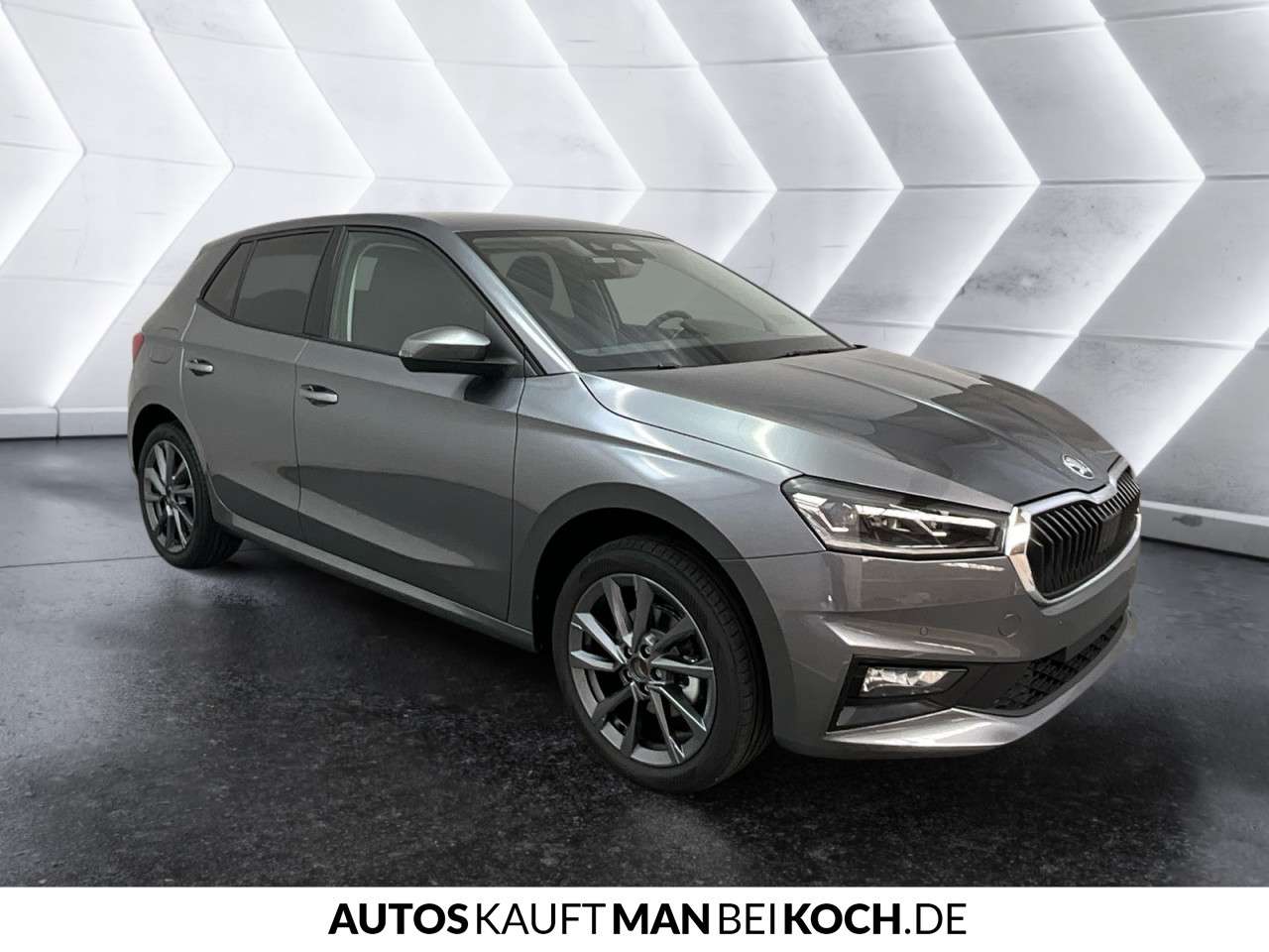 Fahrzeugbild eines Skoda Fabia