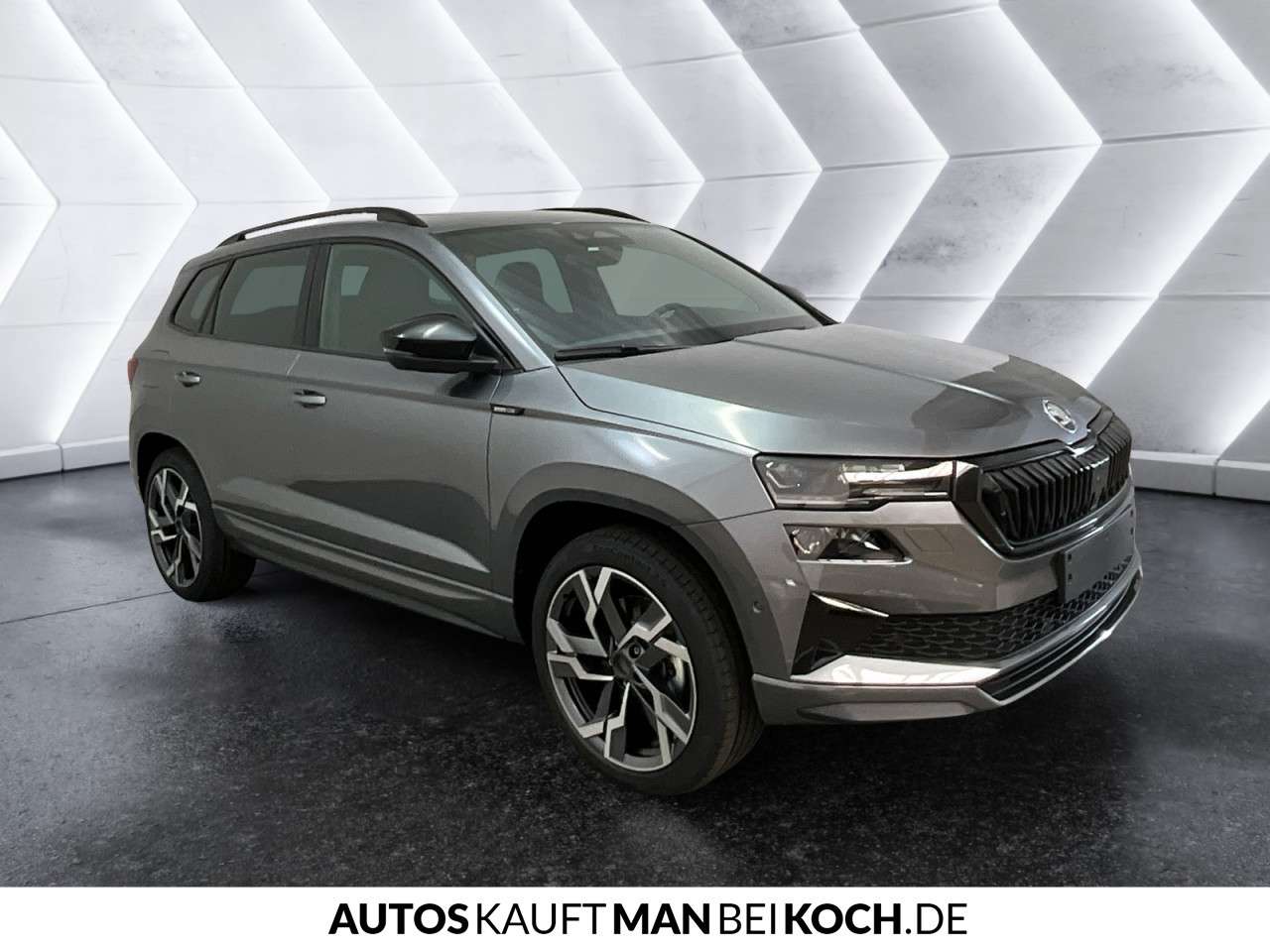 Fahrzeugbild eines Skoda Karoq