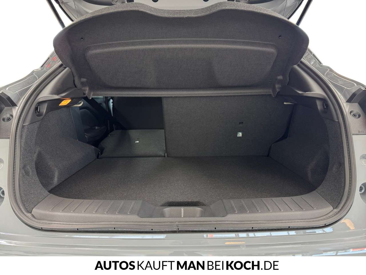 Fahrzeugbild eines Nissan JUKE