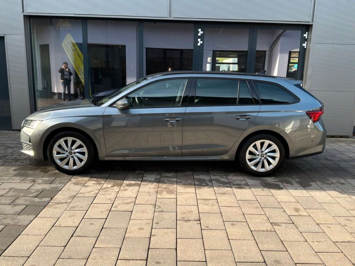 Fahrzeugbild eines Skoda Octavia