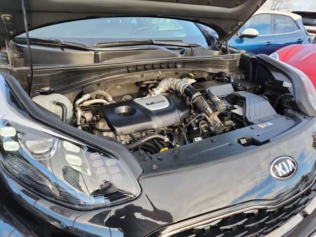 Fahrzeugbild eines Kia Sportage