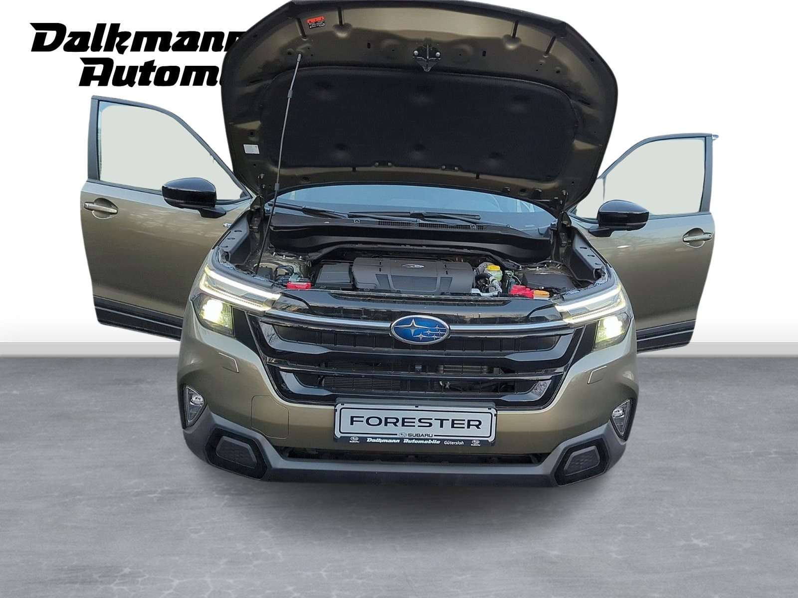 Fahrzeugbild eines Subaru Forester