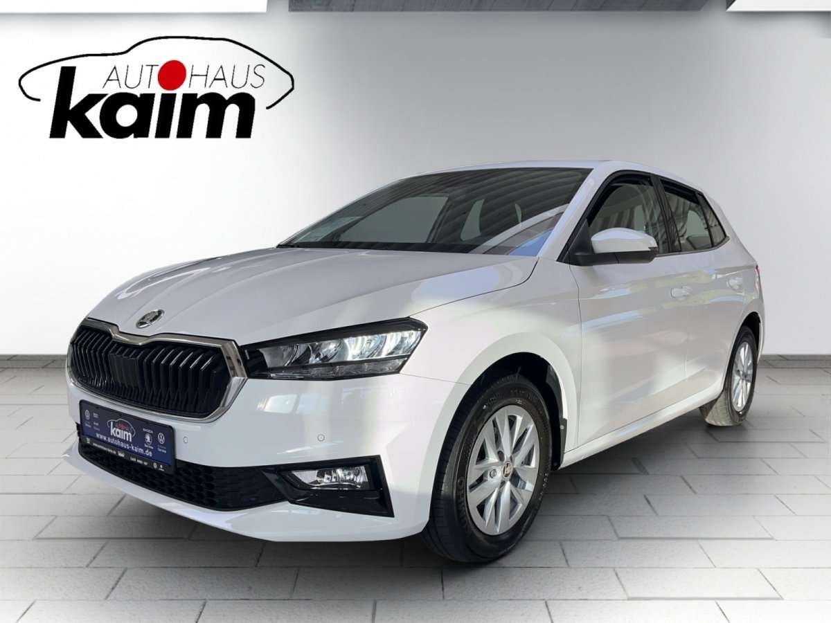 Fahrzeugbild eines Skoda Fabia